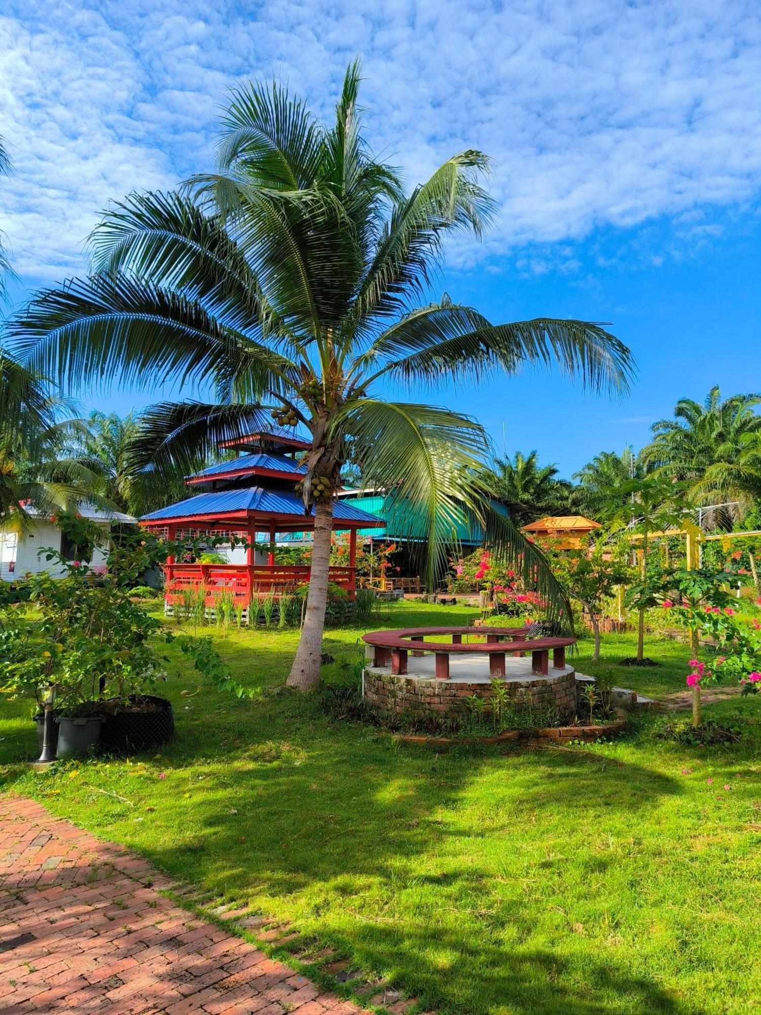 Shunde Palm Resort 仙本那顺德人家棕榈园 Zewnętrze zdjęcie