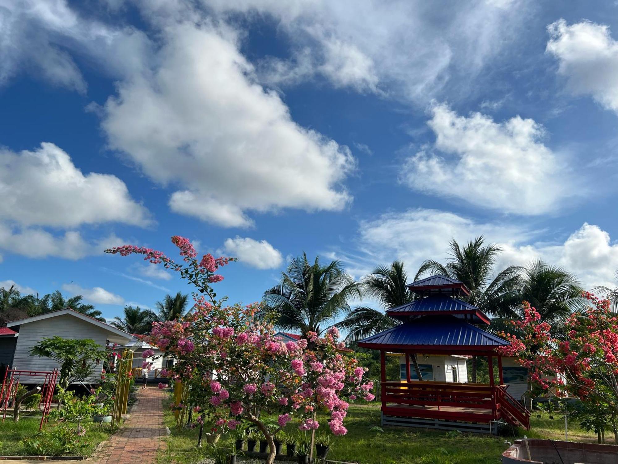 Shunde Palm Resort 仙本那顺德人家棕榈园 Zewnętrze zdjęcie