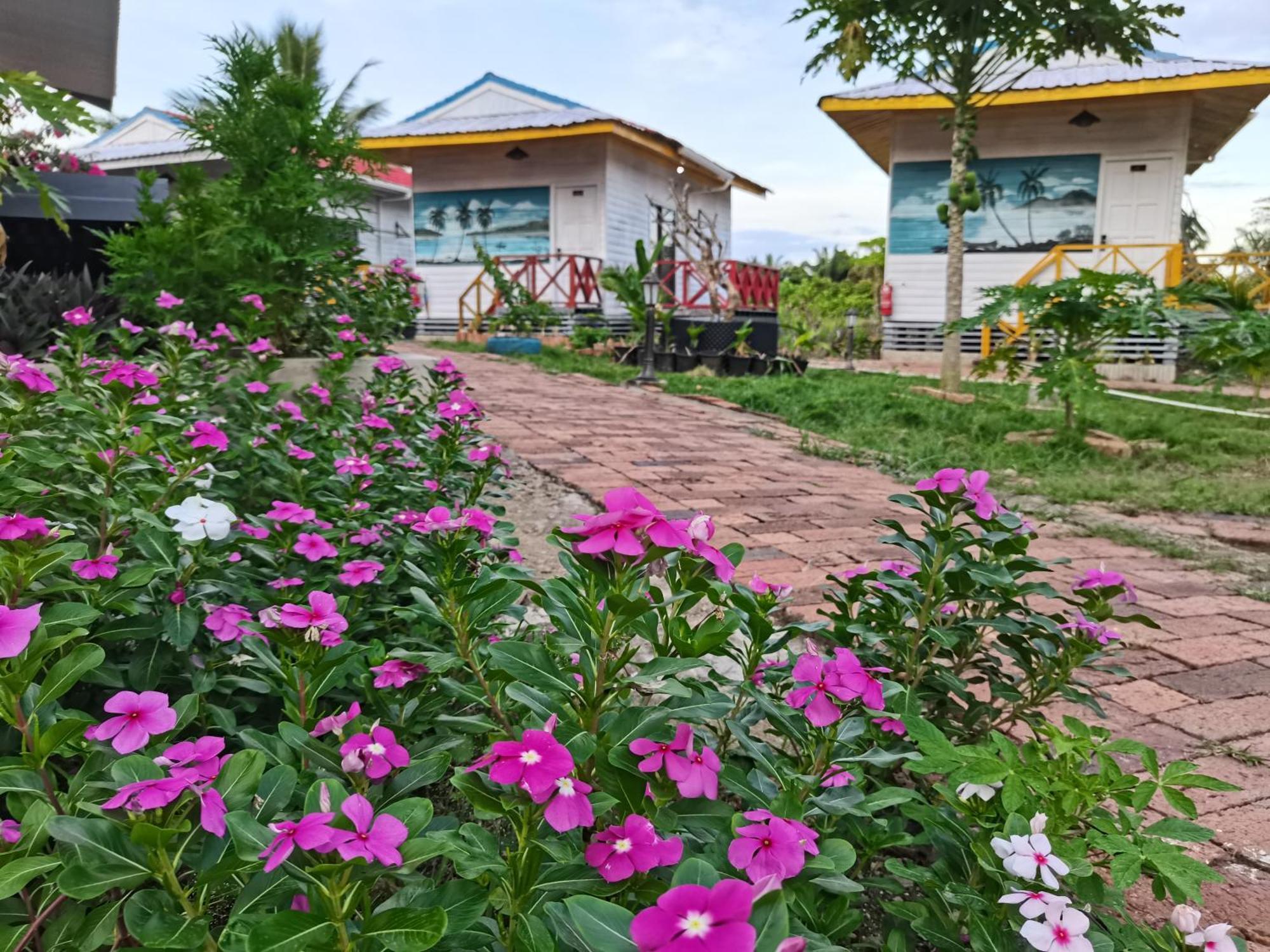 Shunde Palm Resort 仙本那顺德人家棕榈园 Zewnętrze zdjęcie